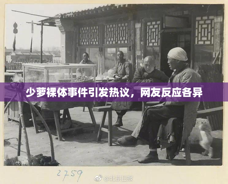 少萝裸体事件引发热议，网友反应各异