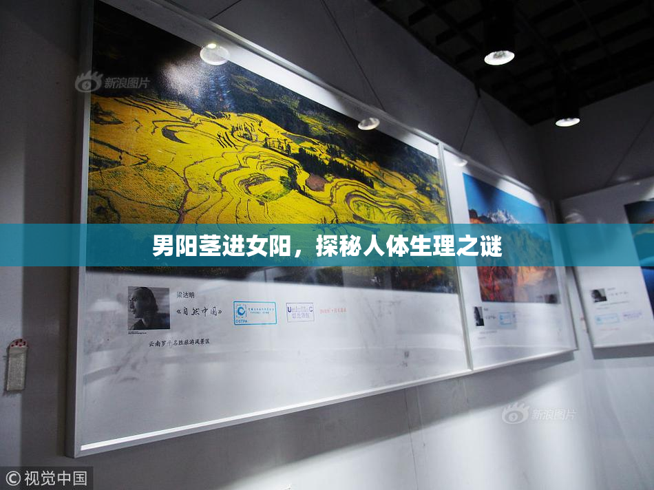 男阳茎进女阳，探秘人体生理之谜