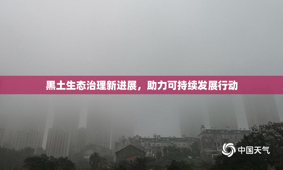 黑土生态治理新进展，助力可持续发展行动