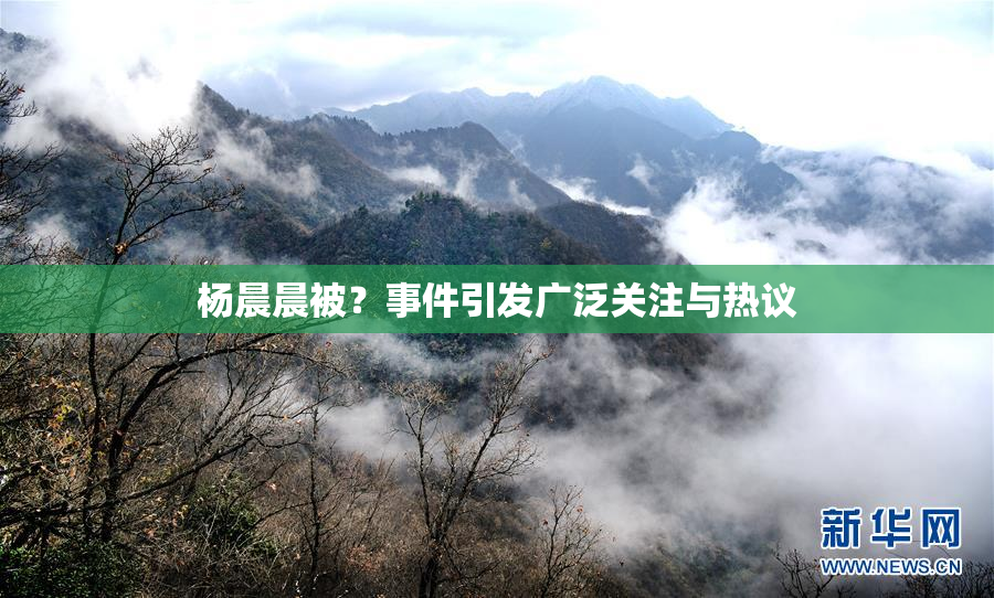 杨晨晨被？事件引发广泛关注与热议