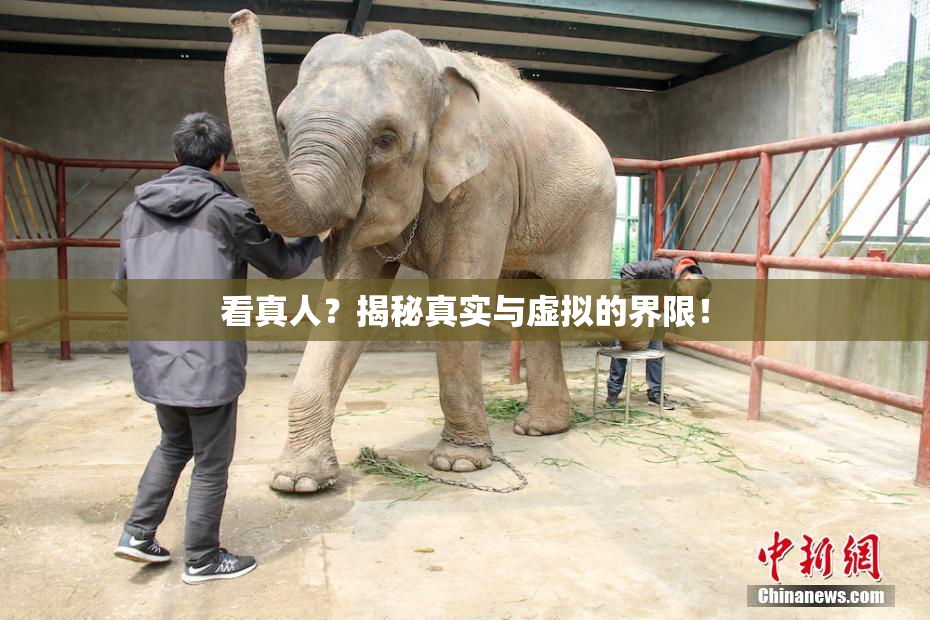 看真人？揭秘真实与虚拟的界限！