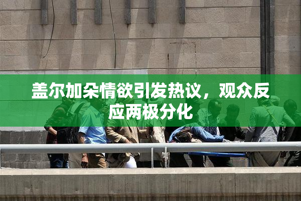 盖尔加朵情欲引发热议，观众反应两极分化