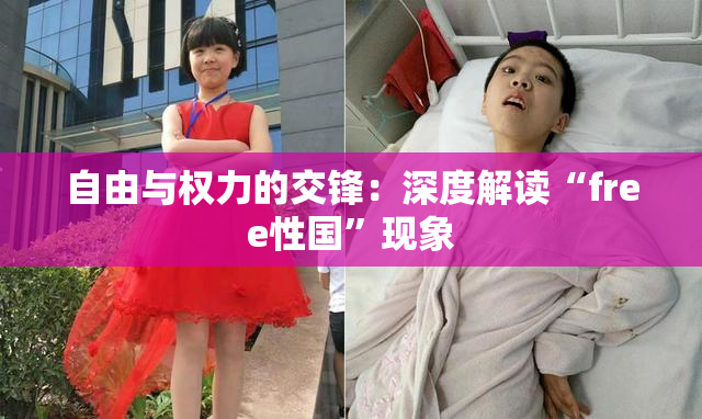 自由与权力的交锋：深度解读“free性国”现象