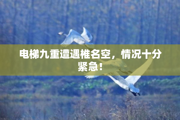电梯九重遭遇椎名空，情况十分紧急！