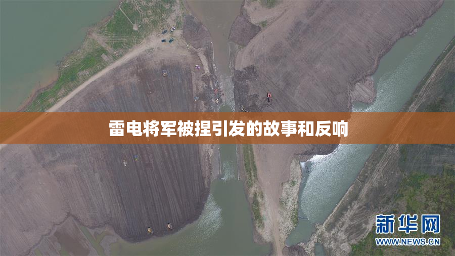 雷电将军被捏引发的故事和反响
