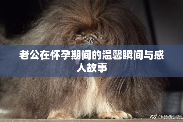 老公在怀孕期间的温馨瞬间与感人故事