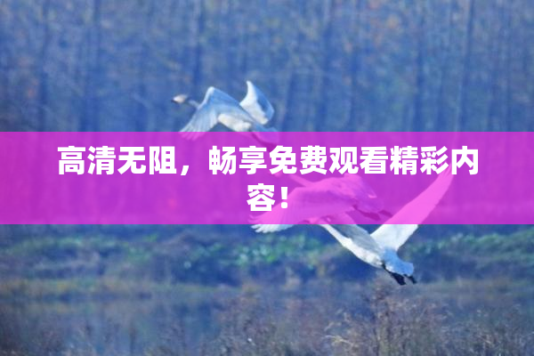 高清无阻，畅享免费观看精彩内容！