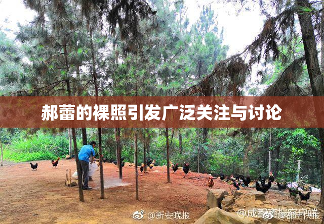 郝蕾的裸照引发广泛关注与讨论