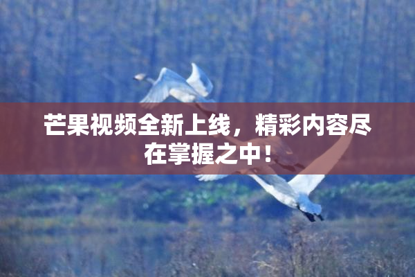 芒果视频全新上线，精彩内容尽在掌握之中！
