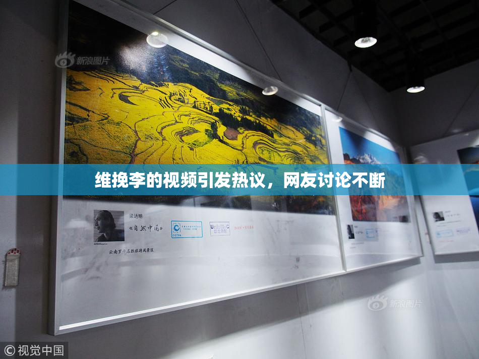 维挽李的视频引发热议，网友讨论不断