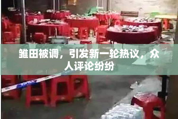 雏田被调，引发新一轮热议，众人评论纷纷