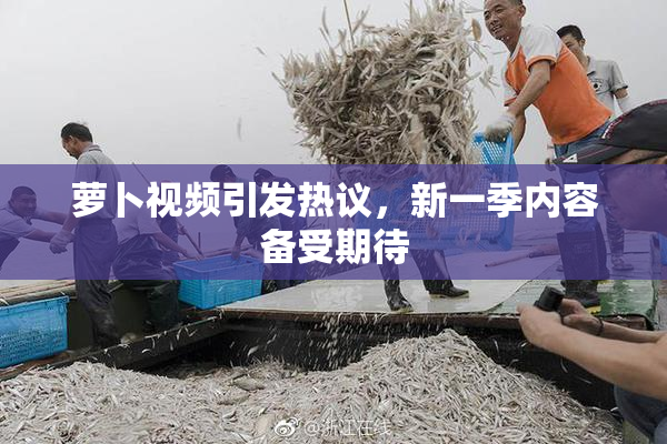 萝卜视频引发热议，新一季内容备受期待