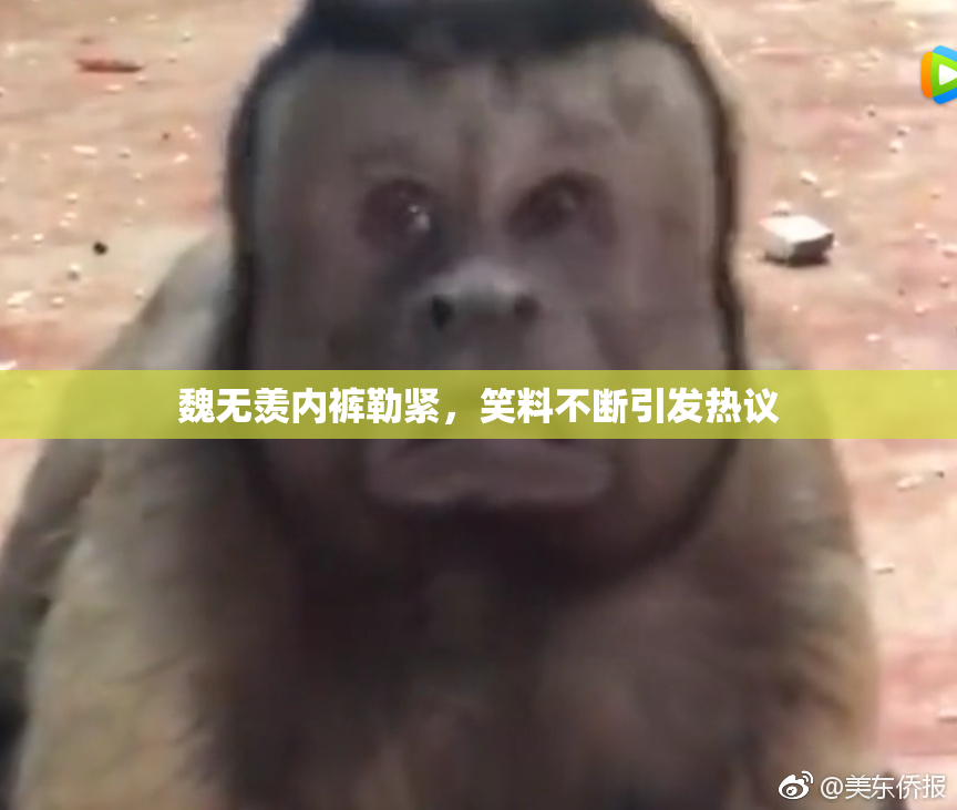 魏无羡内裤勒紧，笑料不断引发热议