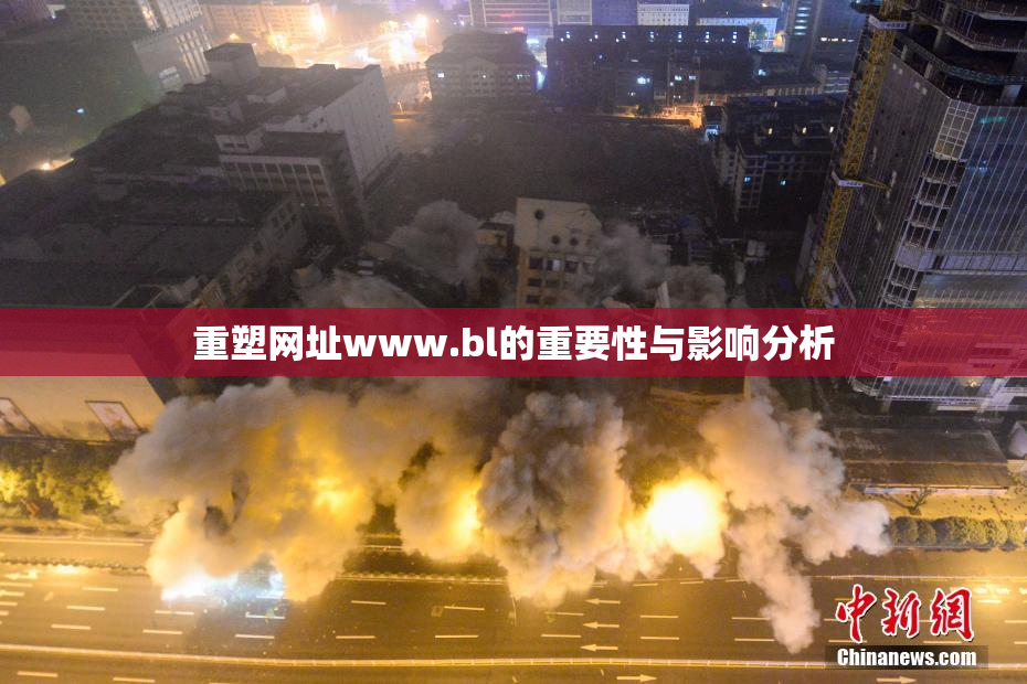 重塑网址www.bl的重要性与影响分析