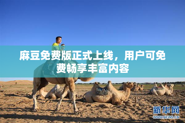 麻豆免费版正式上线，用户可免费畅享丰富内容
