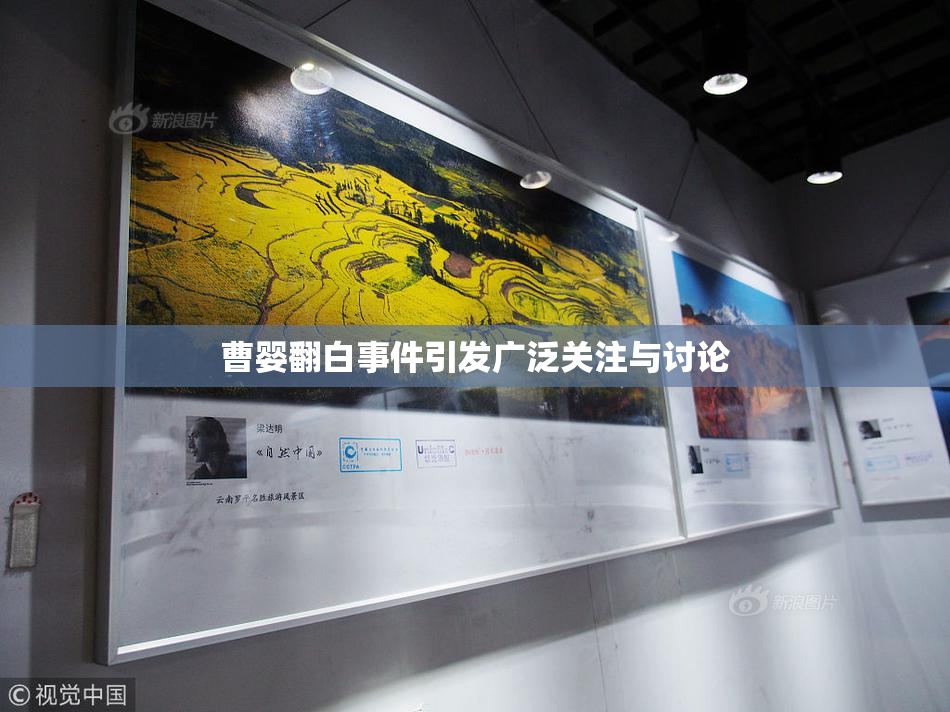 曹婴翻白事件引发广泛关注与讨论