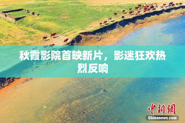 秋霞影院首映新片，影迷狂欢热烈反响