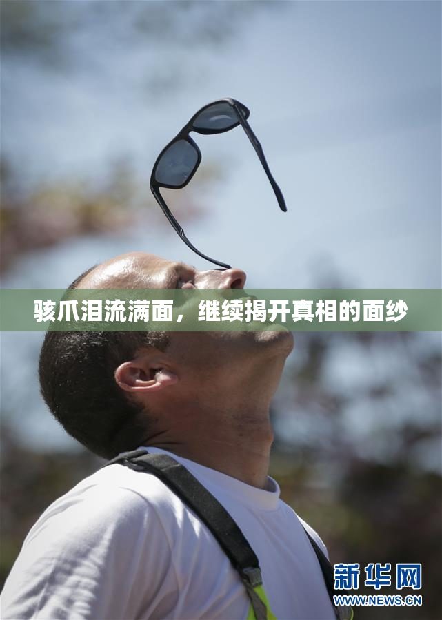 骇爪泪流满面，继续揭开真相的面纱