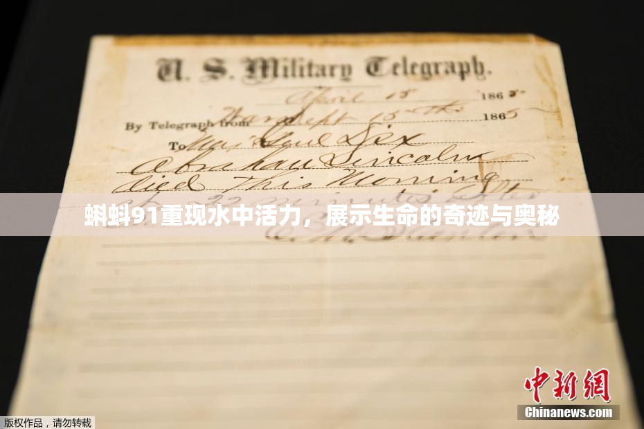 蝌蚪91重现水中活力，展示生命的奇迹与奥秘