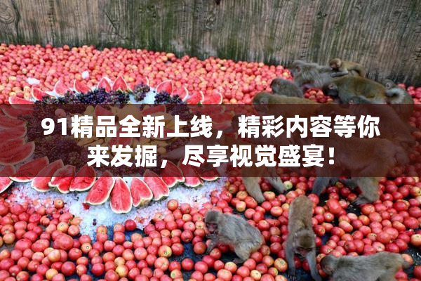 91精品全新上线，精彩内容等你来发掘，尽享视觉盛宴！