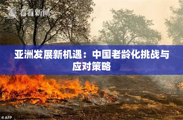 亚洲发展新机遇：中国老龄化挑战与应对策略