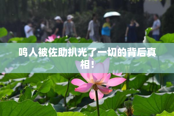 鸣人被佐助扒光了一切的背后真相！