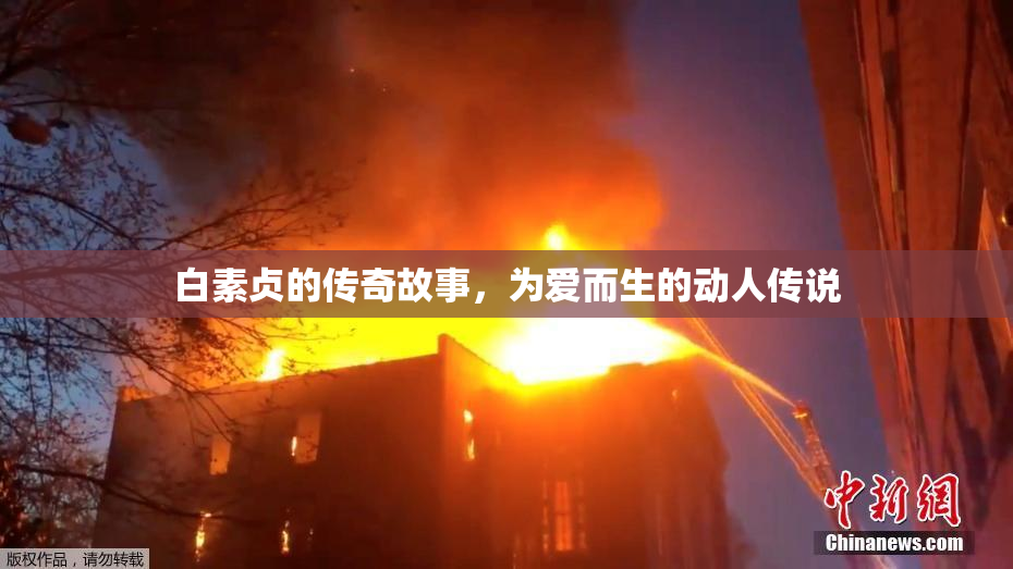 白素贞的传奇故事，为爱而生的动人传说
