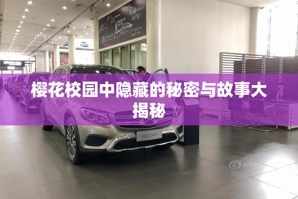 樱花校园中隐藏的秘密与故事大揭秘