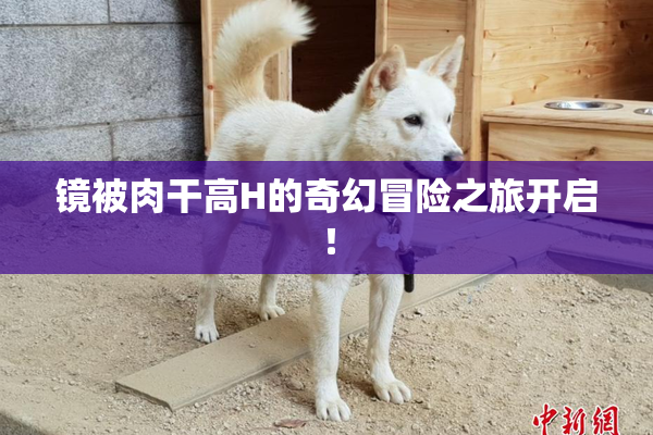 镜被肉干高H的奇幻冒险之旅开启！