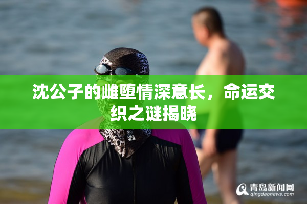 沈公子的雌堕情深意长，命运交织之谜揭晓