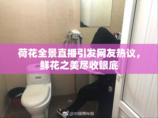 荷花全景直播引发网友热议，鲜花之美尽收眼底