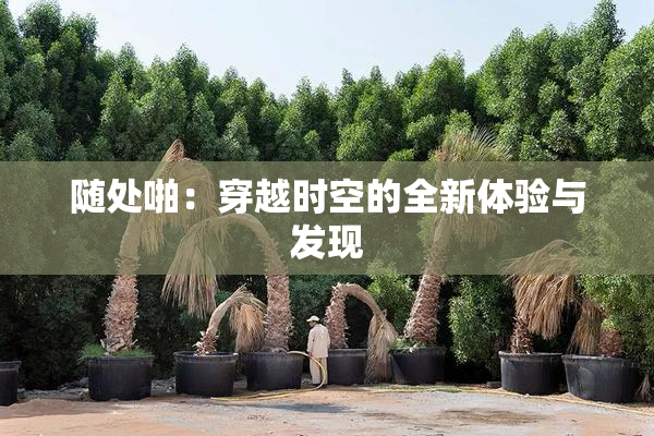 随处啪：穿越时空的全新体验与发现