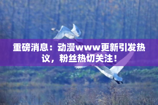 重磅消息：动漫www更新引发热议，粉丝热切关注！