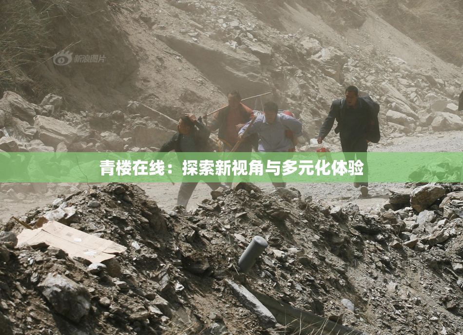 青楼在线：探索新视角与多元化体验