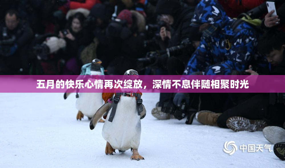 五月的快乐心情再次绽放，深情不息伴随相聚时光