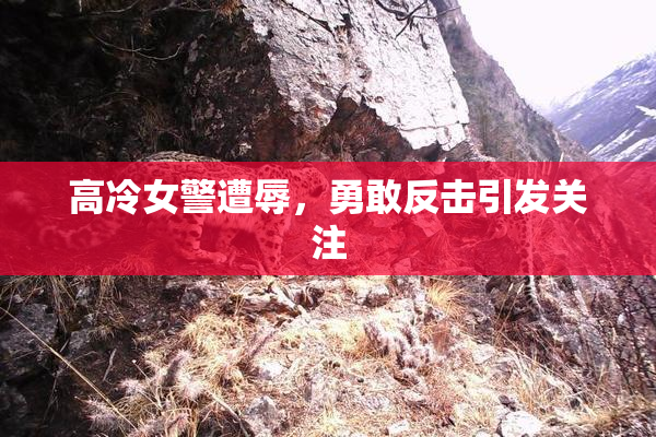 高冷女警遭辱，勇敢反击引发关注