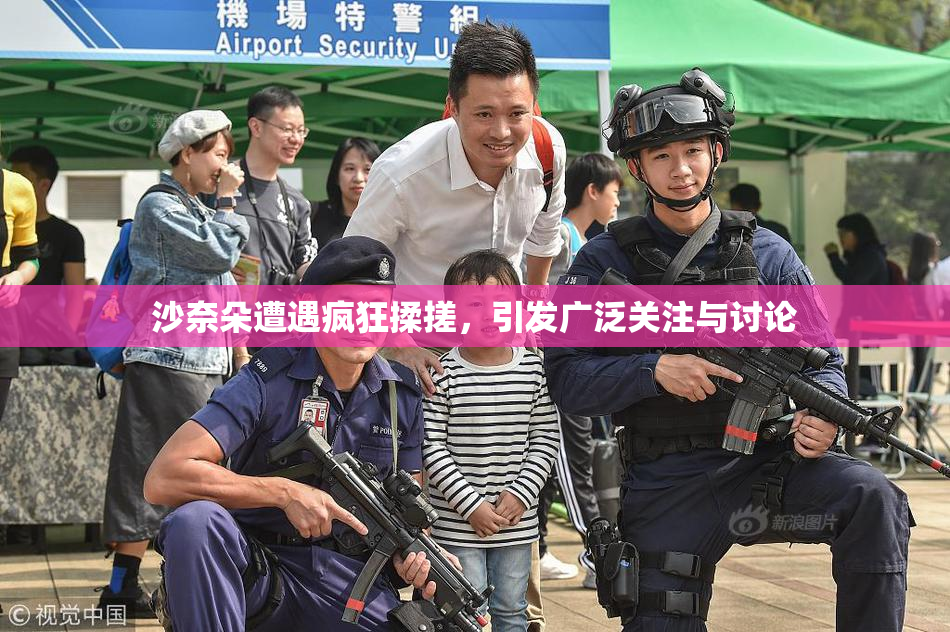 沙奈朵遭遇疯狂揉搓，引发广泛关注与讨论