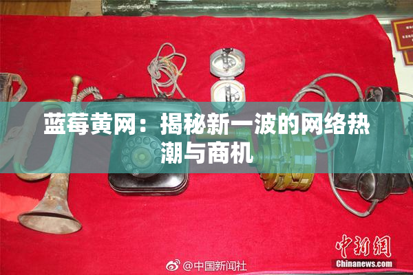 蓝莓黄网：揭秘新一波的网络热潮与商机