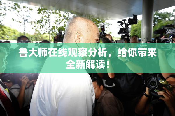 鲁大师在线观察分析，给你带来全新解读！