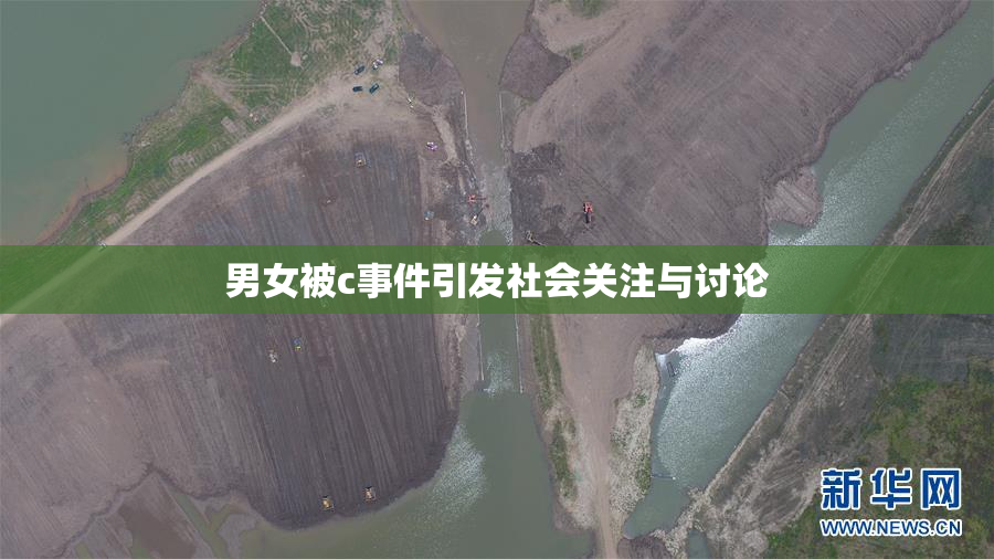 男女被c事件引发社会关注与讨论