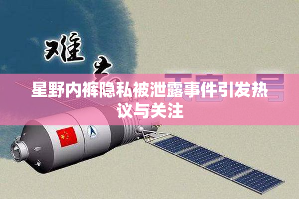 星野内裤隐私被泄露事件引发热议与关注