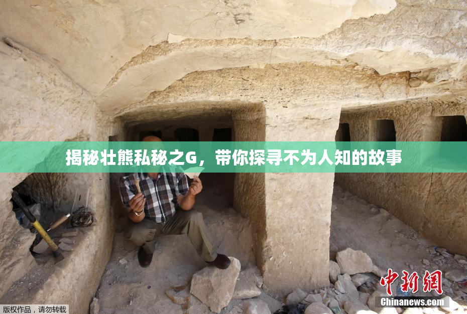 揭秘壮熊私秘之G，带你探寻不为人知的故事