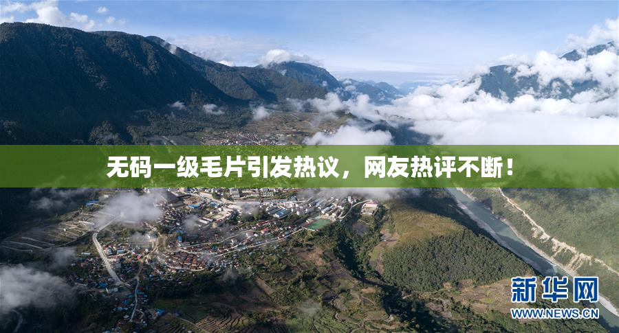 无码一级毛片引发热议，网友热评不断！