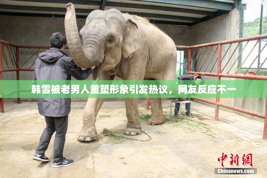 韩雪被老男人重塑形象引发热议，网友反应不一