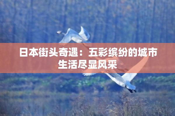 日本街头奇遇：五彩缤纷的城市生活尽显风采