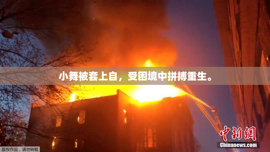 小舞被套上自，受困境中拼搏重生。