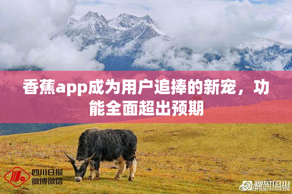 香蕉app成为用户追捧的新宠，功能全面超出预期