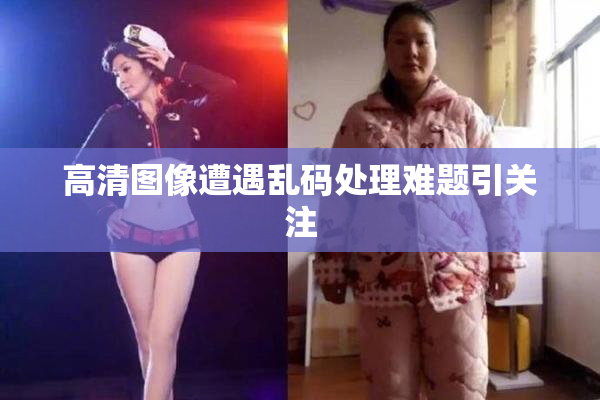 高清图像遭遇乱码处理难题引关注