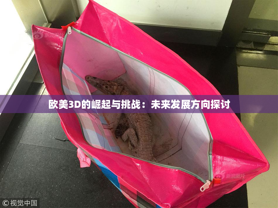 欧美3D的崛起与挑战：未来发展方向探讨