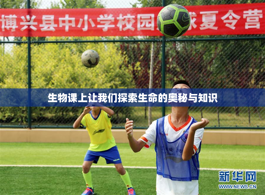 生物课上让我们探索生命的奥秘与知识